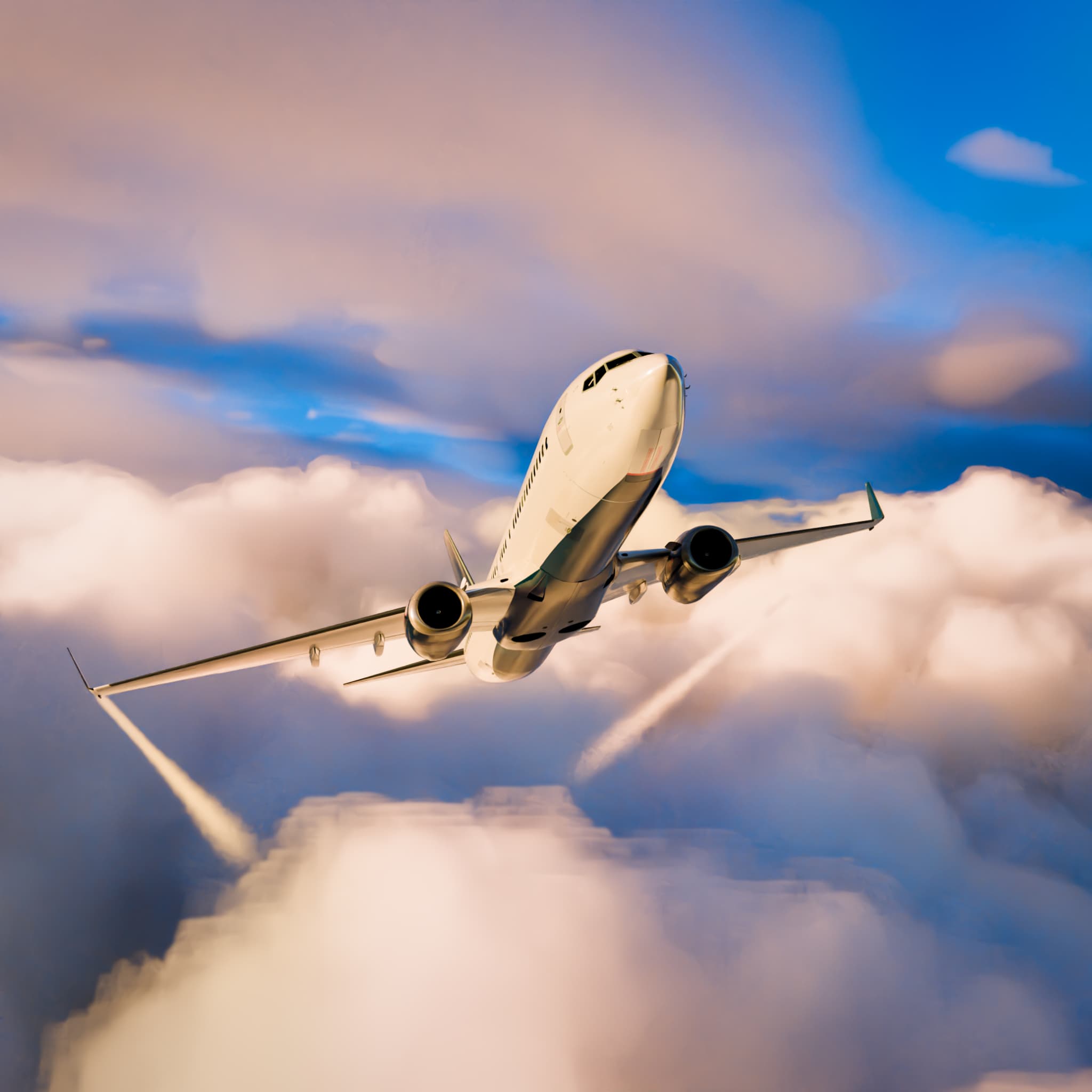 Commercial Pilot License